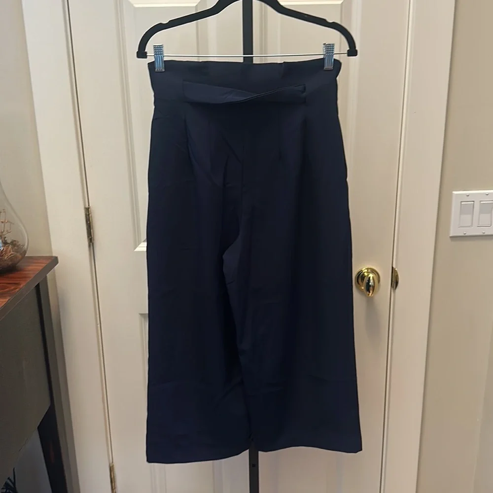 Anthropologie Bishop + Young Paperbag Crop Pants NEW - Picture 11 of 14
